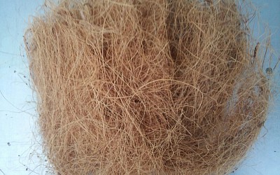 Loose coco fiber
